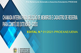 Notícia 1